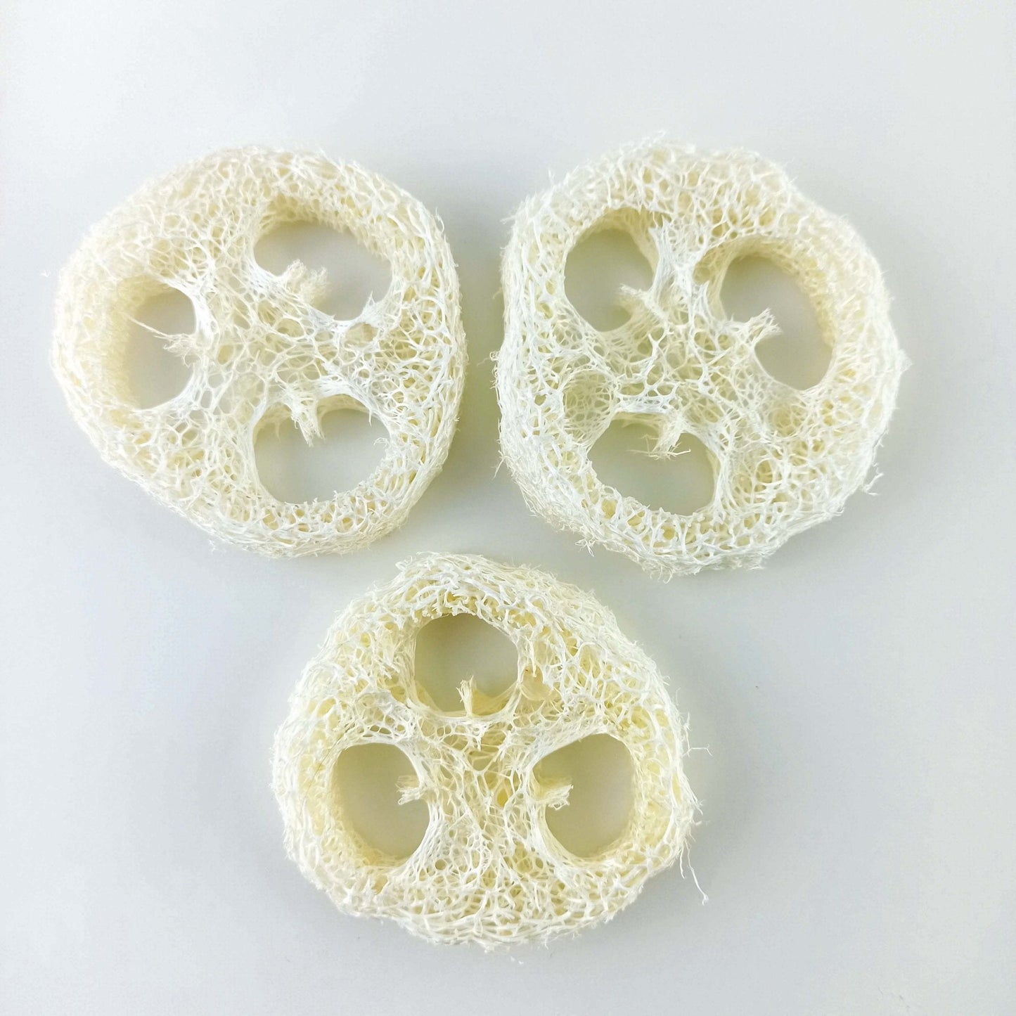 Luffa Schwamm Scheibe Ablage für Seife und festes Shampoo - PURE SOUL Naturkosmetik