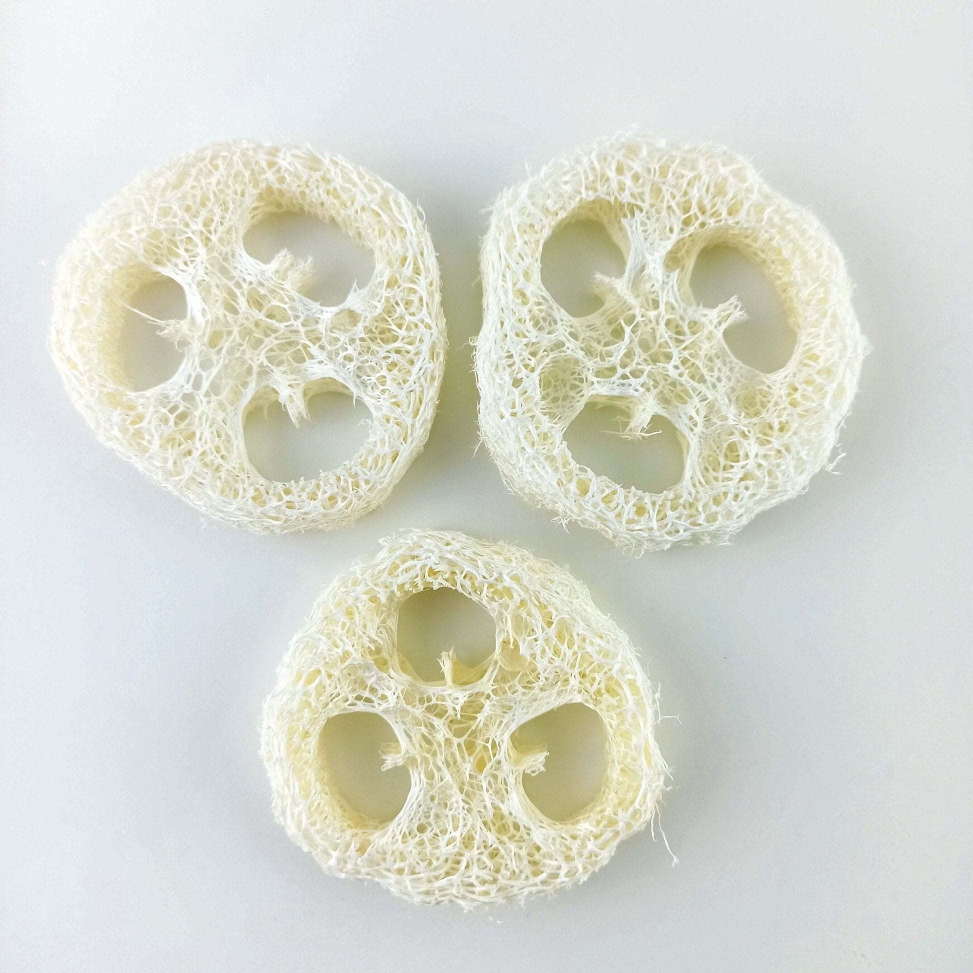 Luffa Schwamm Scheibe Ablage für Seife und festes Shampoo - PURE SOUL Naturkosmetik