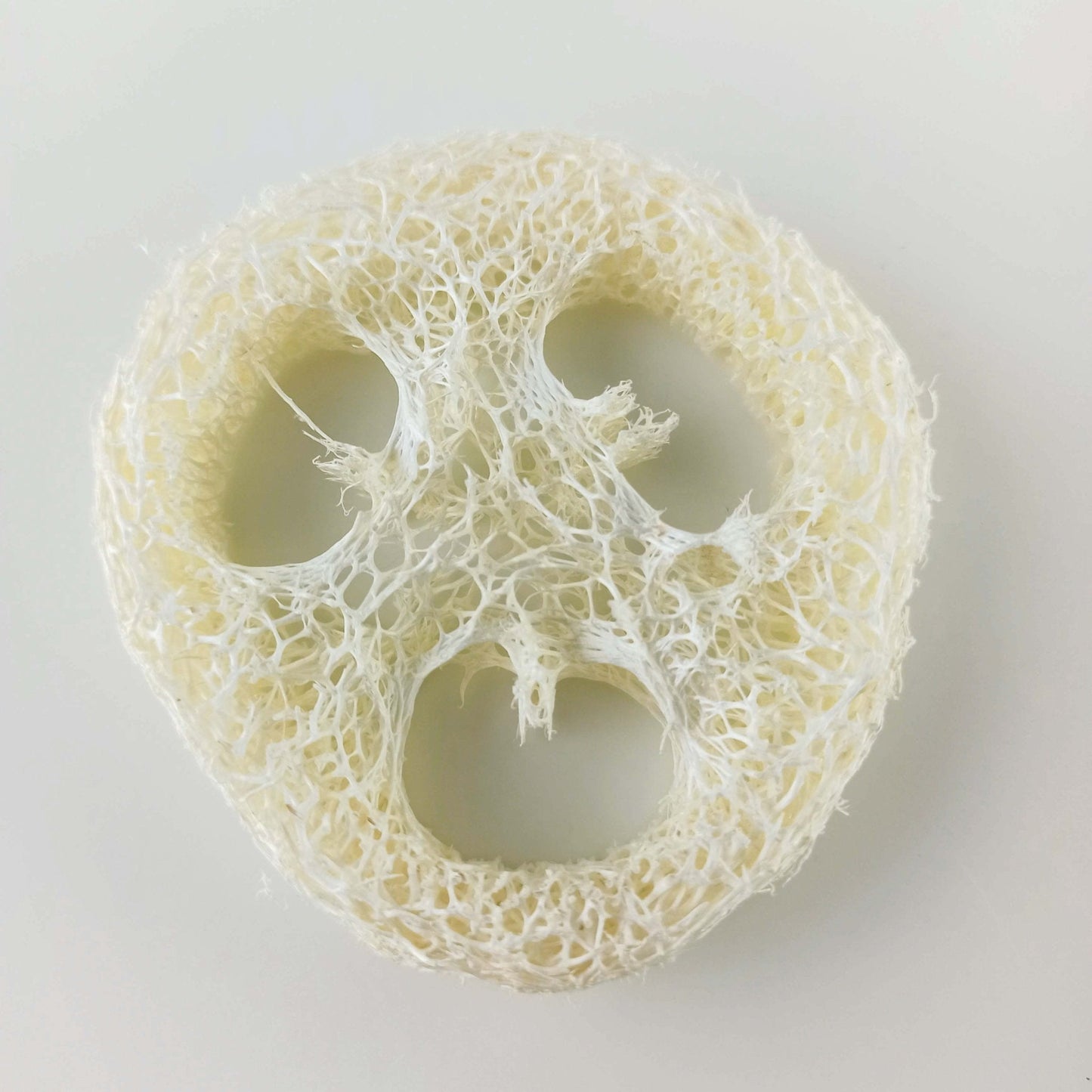 Luffa Schwamm Scheibe Ablage für Seife und festes Shampoo - PURE SOUL Naturkosmetik