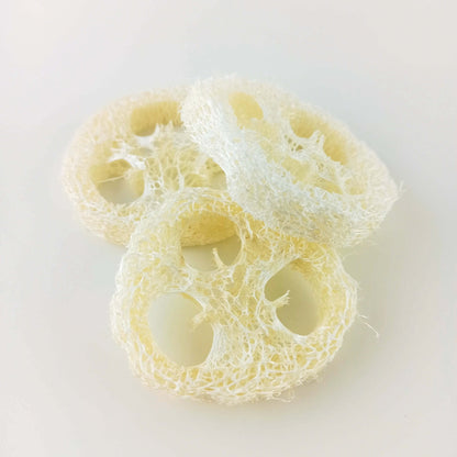 Luffa Schwamm Scheibe Ablage für Seife und festes Shampoo - PURE SOUL Naturkosmetik